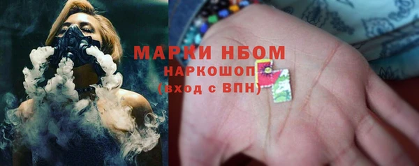 ПСИЛОЦИБИНОВЫЕ ГРИБЫ Заволжье