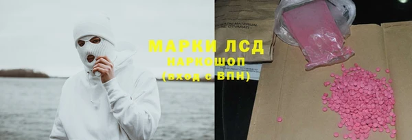 ПСИЛОЦИБИНОВЫЕ ГРИБЫ Заволжье