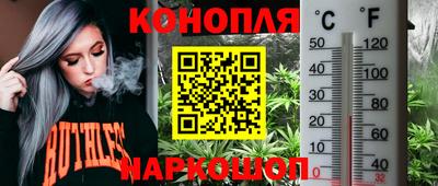 гидропоника Изобильный