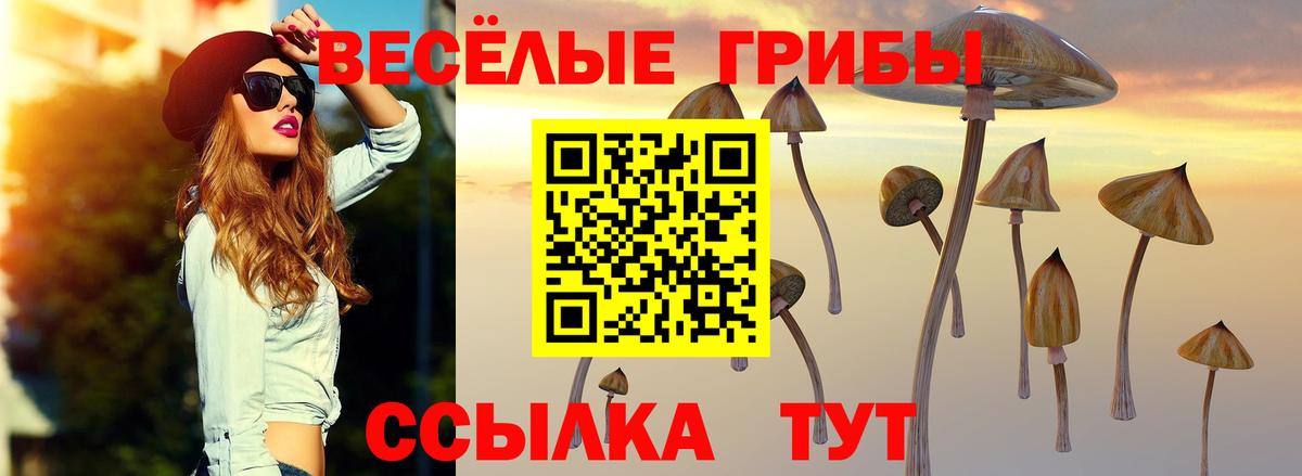 Псилоцибиновые грибы MAGIC MUSHROOMS Славянск-на-Кубани