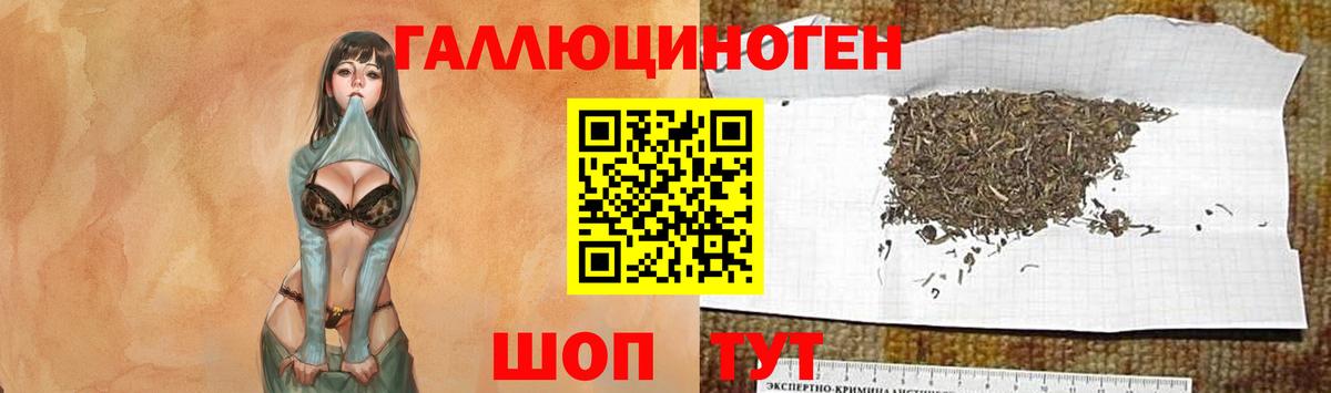 Псилоцибиновые грибы ЛСД Славянск-на-Кубани